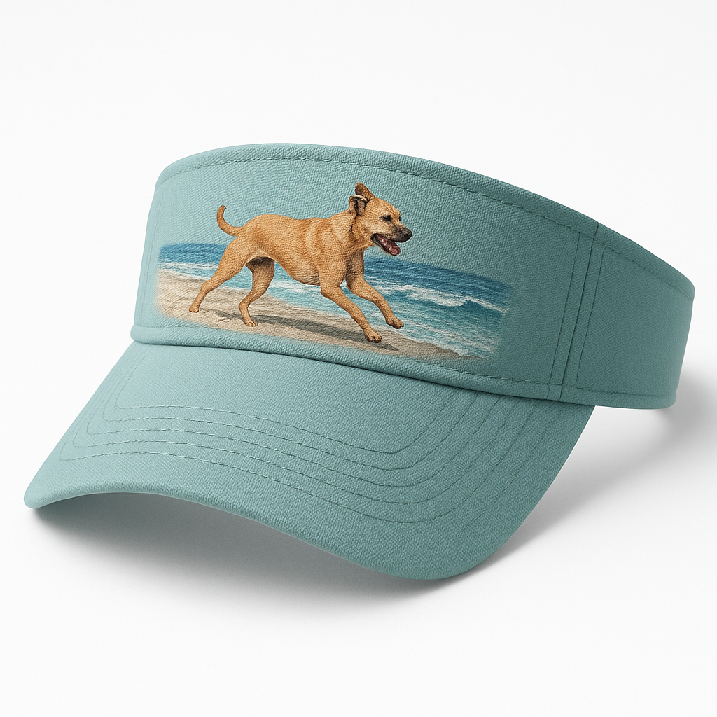 Breesy Beach Visor